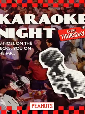 Karaoke Night poster