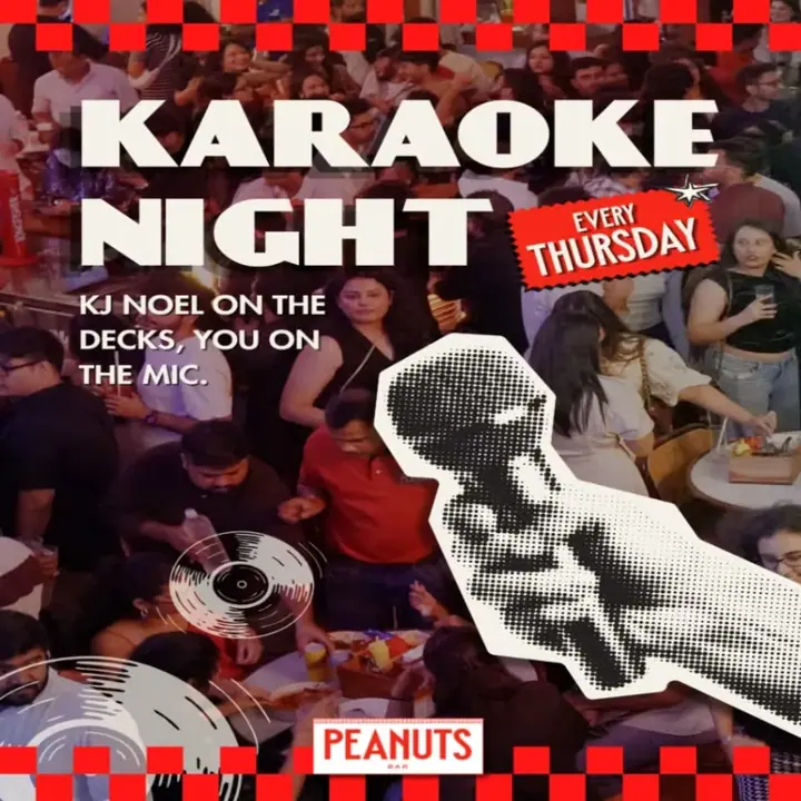 Karaoke Night poster