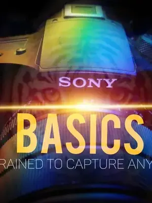 Master Your Photography Basics poster