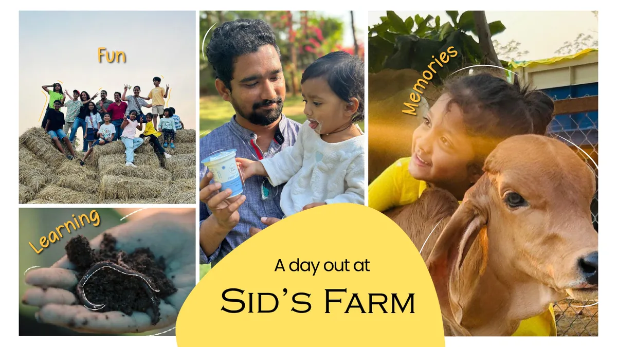 Sid's Farm: Weekend Visit