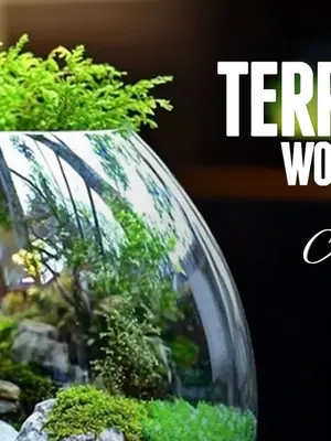 Terrarium Workshop poster